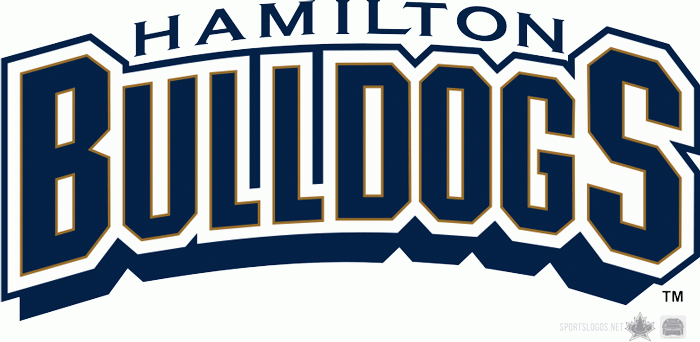 Hamilton Bulldogs 1996 97-2001 02 Wordmark Logo v2 iron on transfers for clothing